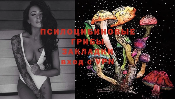 Альфа ПВП Михайловск