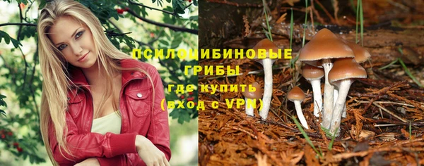 Альфа ПВП Михайловск