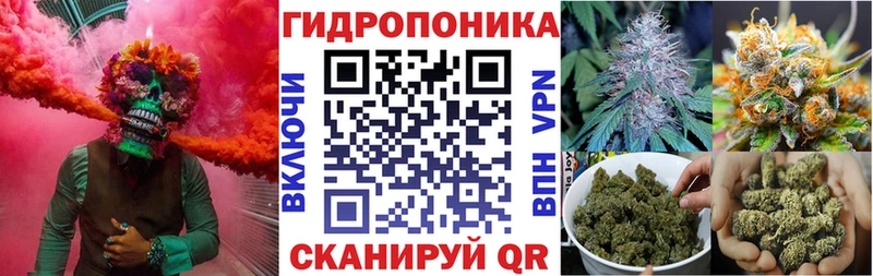 Шишки марихуана VHQ  Купить  Елизово 